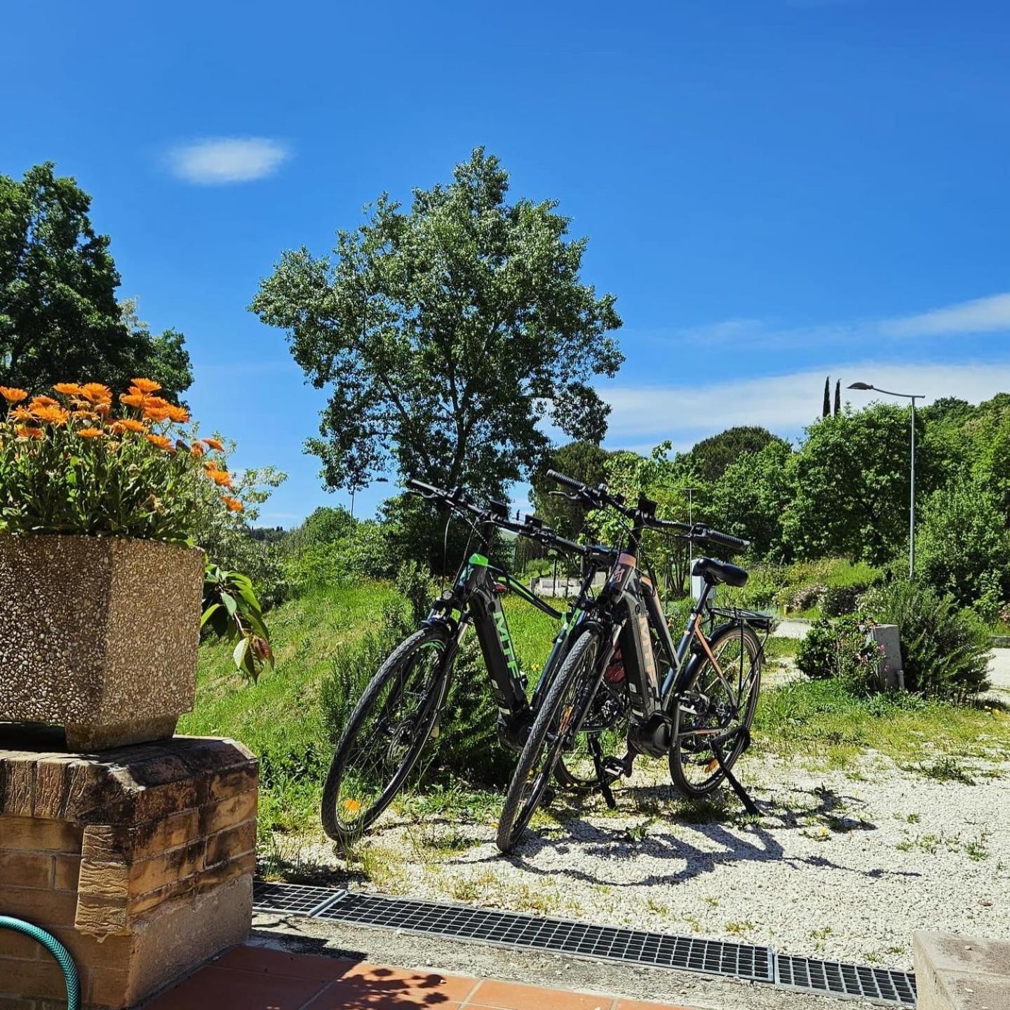 Pianpieve Nature & Relax Apartments Assisi Kültér fotó